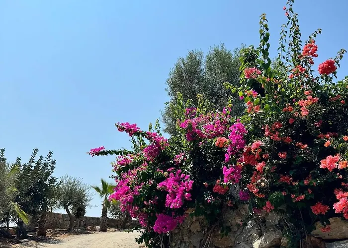 Casa de Férias Beachfront Cliff House - Private Alanya