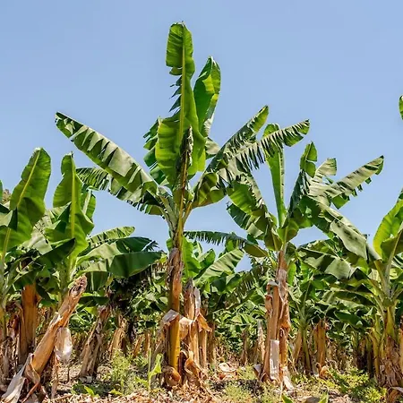 Vakantiehuis Beachfront Cliff House - Private