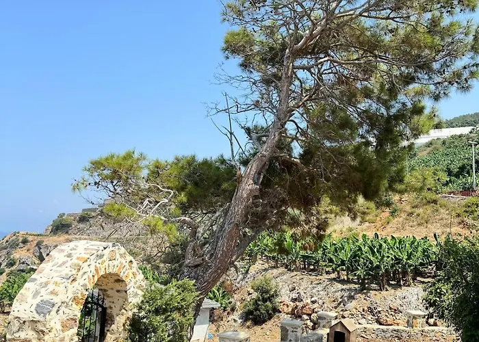 Vakantiehuis Beachfront Cliff House - Private *