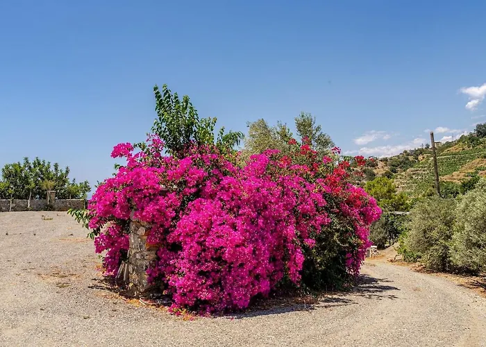 Beachfront Cliff House - Private Semesterbostad *