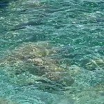 Σπίτι διακοπών Beachfront Cliff House - Private Αλάνια